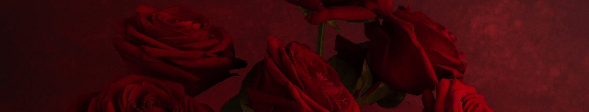 Día de San Valentín Editar