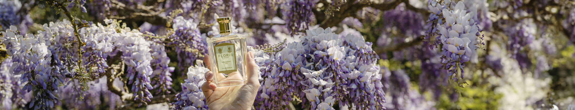Sommerparfums des Paradieses