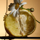A sliced lemon and daisy flower rest together as honey drizzles over them, featuring Celest Eau de Parfum by Floris London EU against a warm beige backdrop.