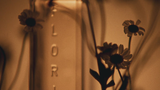 Celest - Eau de Parfum