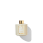 Oud & Cashmere Reed Diffuser in a beige coloured jar with a cream and gold label, and a shiny gold cap.